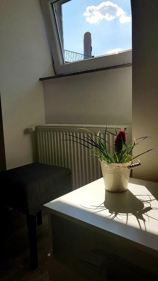 Zwei Schicke Apartments Mit Parkplatz Кьолн Екстериор снимка